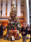 121215_tree.gif