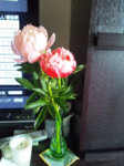 13042702.gif
