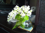 13052301.gif