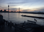 20150102.gif