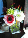 anemone.gif