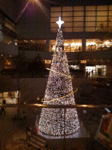 tree.gif